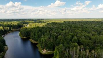 Ein Fluss schlängelt sich durch einen dichten Wald, über ihm ein klarer Himmel.