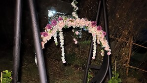 A black metal structure with a circular frame, surrounded by green plants and a decorative floral arrangement. - Beautiful cabin/glamping in the city of Pereira, with beautiful view. (Pereira)