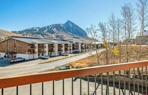 Property grounds - 3bed/2bath, mountain views, hot tub, free shuttle (Crested Butte)