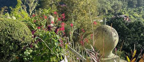 Overnatningsstedets område