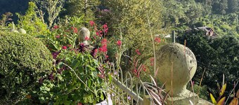 Old world Jamaica charm