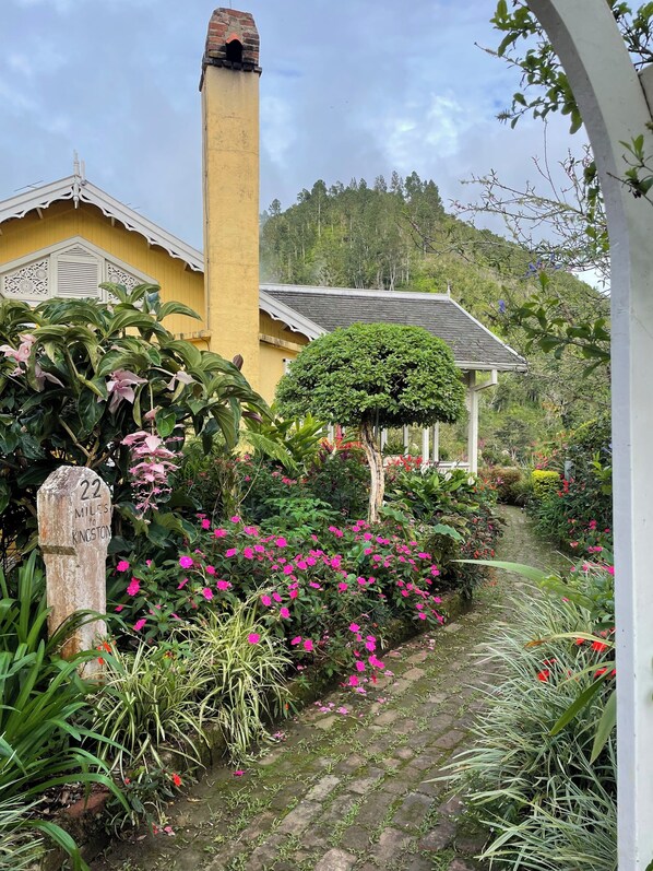 Property grounds - Old world Jamaica charm (Blue mountains)