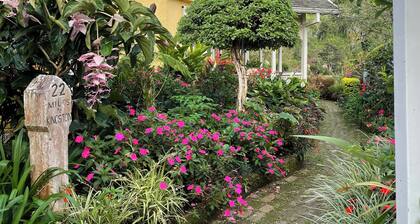 Old world Jamaica charm