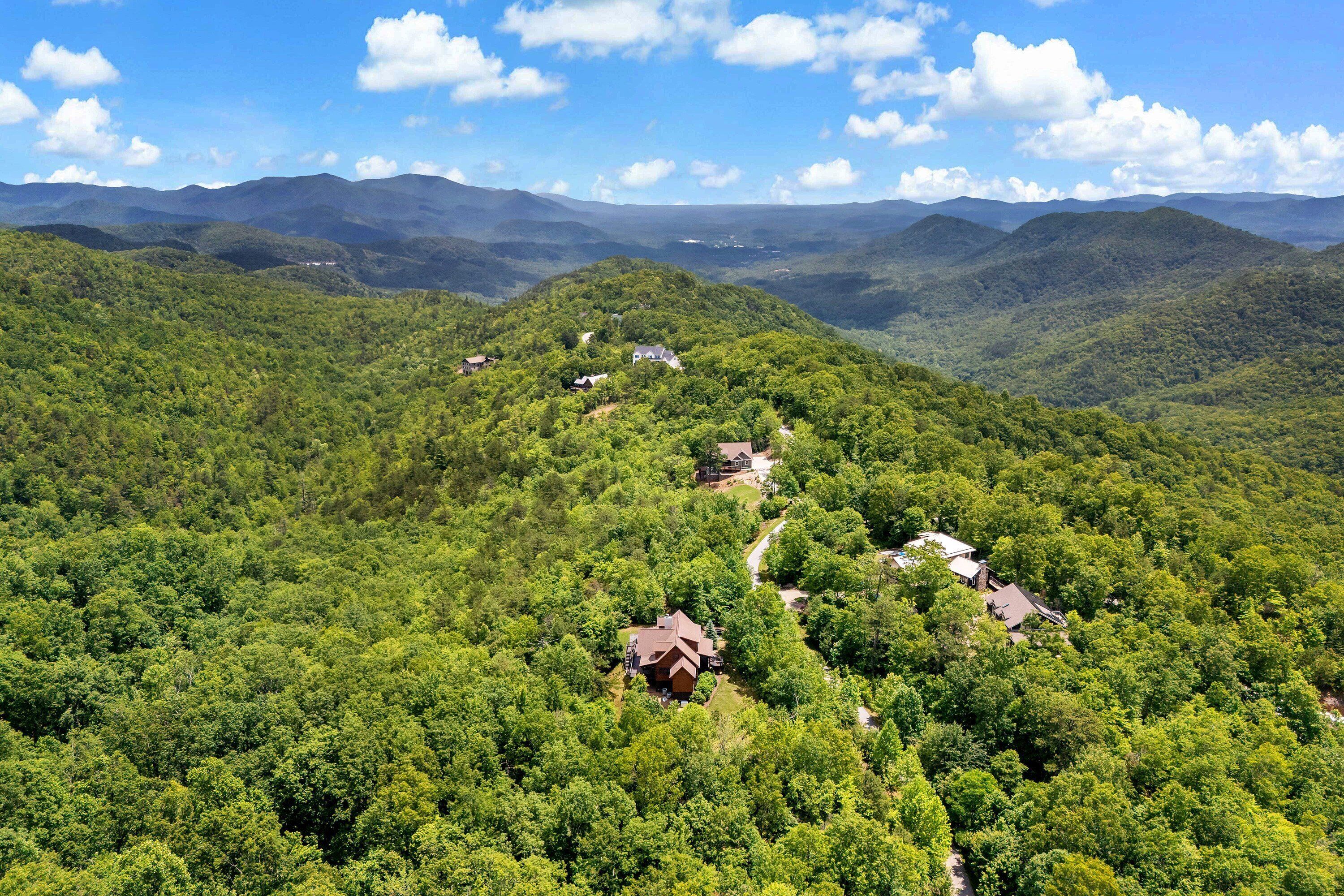 A remote cabin surrounded by dense forest with a clear sky.