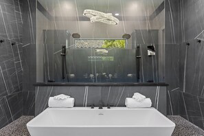 Douche, bidet, serviettes fournies, papier de toilette