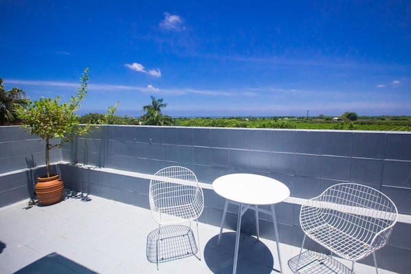 A terrace with a white table and two wire chairs, a potted plant, and a view of the landscape. - Hotel du musee (Taitung)