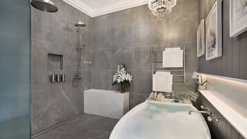 Shower, hair dryer, towels