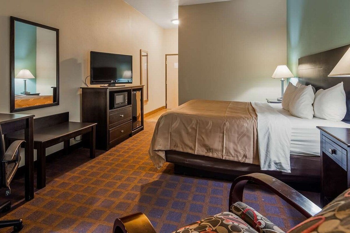 A hotel room with a bed, a desk with a television, a chair, a desk lamp, and a patterned carpet.