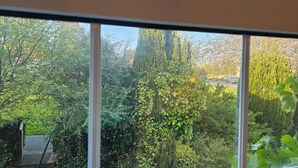 Vista attraverso una finestra su un giardino con alberi e arbusti diversi.