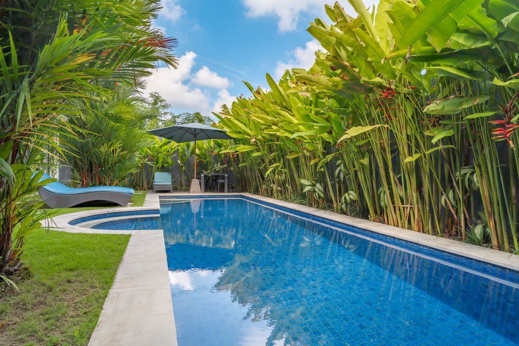 A swimming pool with a curved edge, surrounded by lush tropical plants and a clear blue sky.