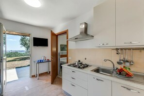 Cocina moderna con estufa a gas, lavamanos y armarios, televisor en la pared y vista al exterior.