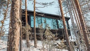 Una cabaña moderna en un bosque nevado, con fachada de vidrio y rodeada de altos árboles.
