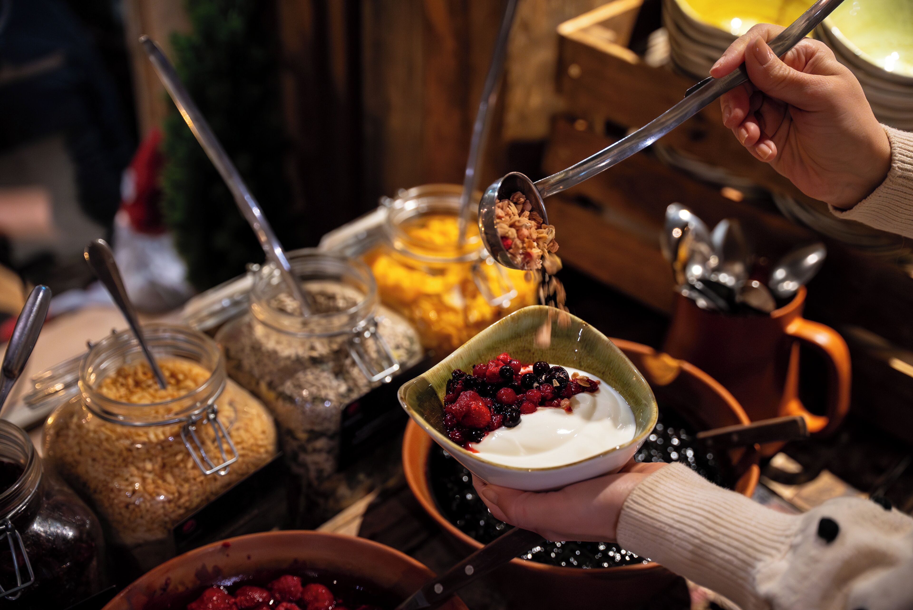 A person holding a bowl of yogurt with berries and granola.