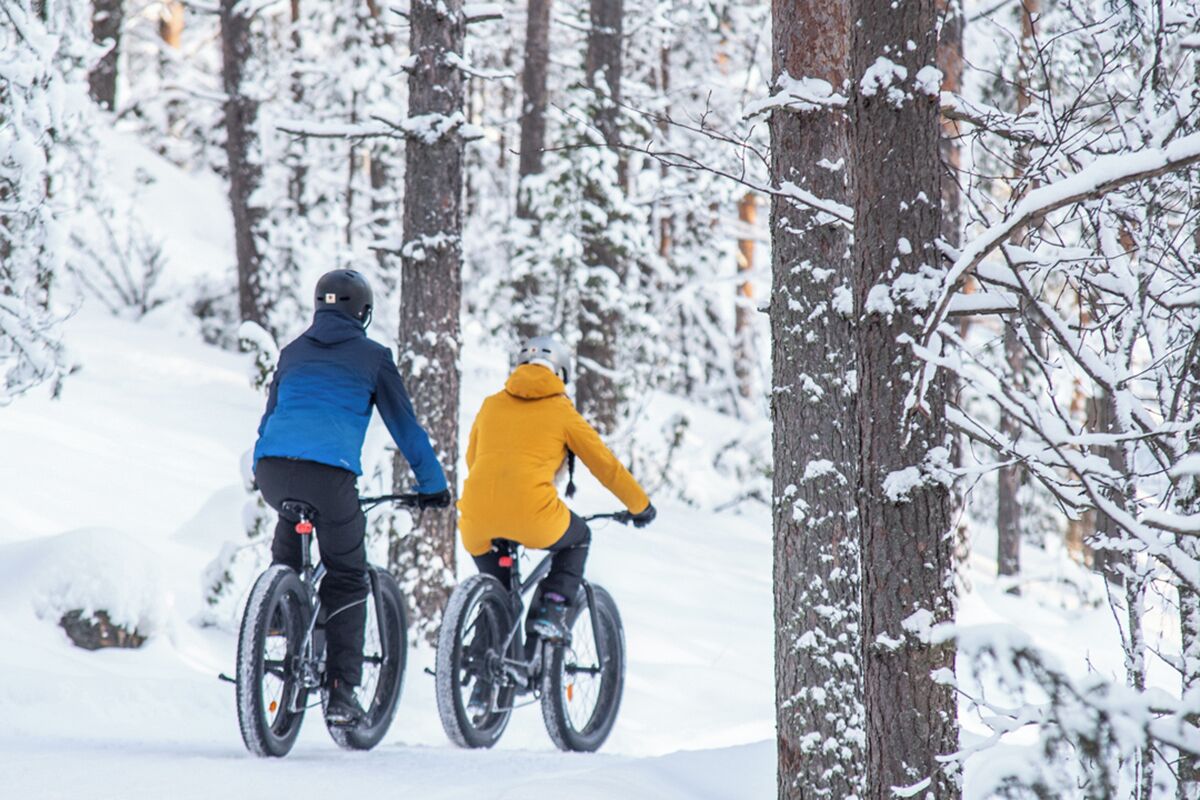 Deux personnes à vélo sur un sentier enneigé, au cœur d’une forêt.