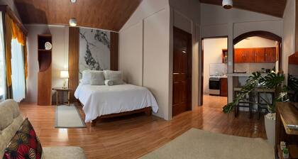 Dreams of Golden Wings