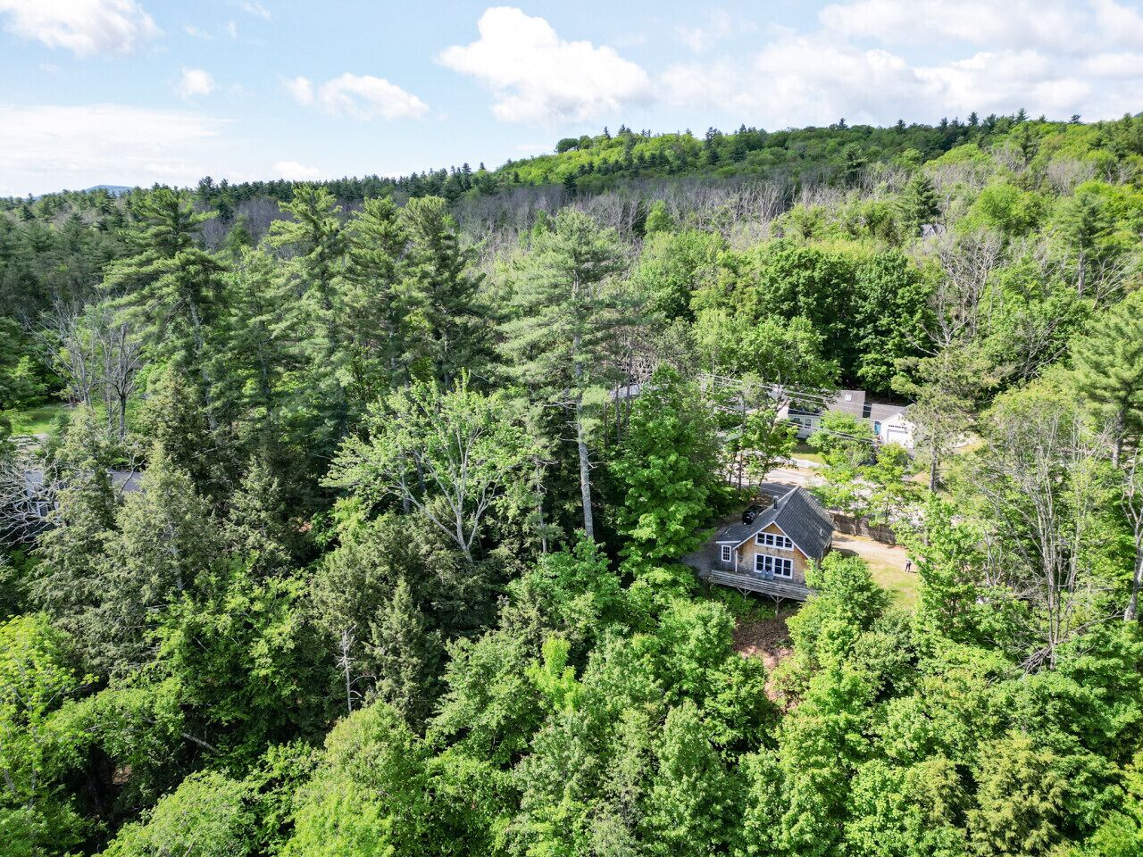 A house surrounded by dense forest with a clear sky.