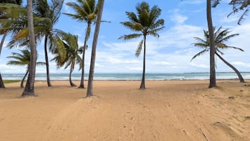 Playa en los alrededores