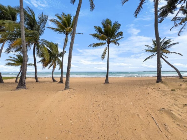 Beach nearby