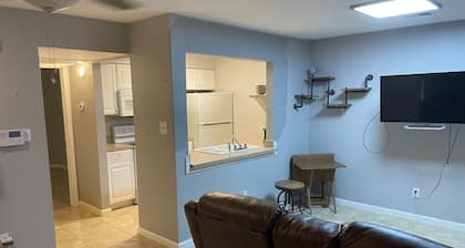 Close To All The Cool Condo