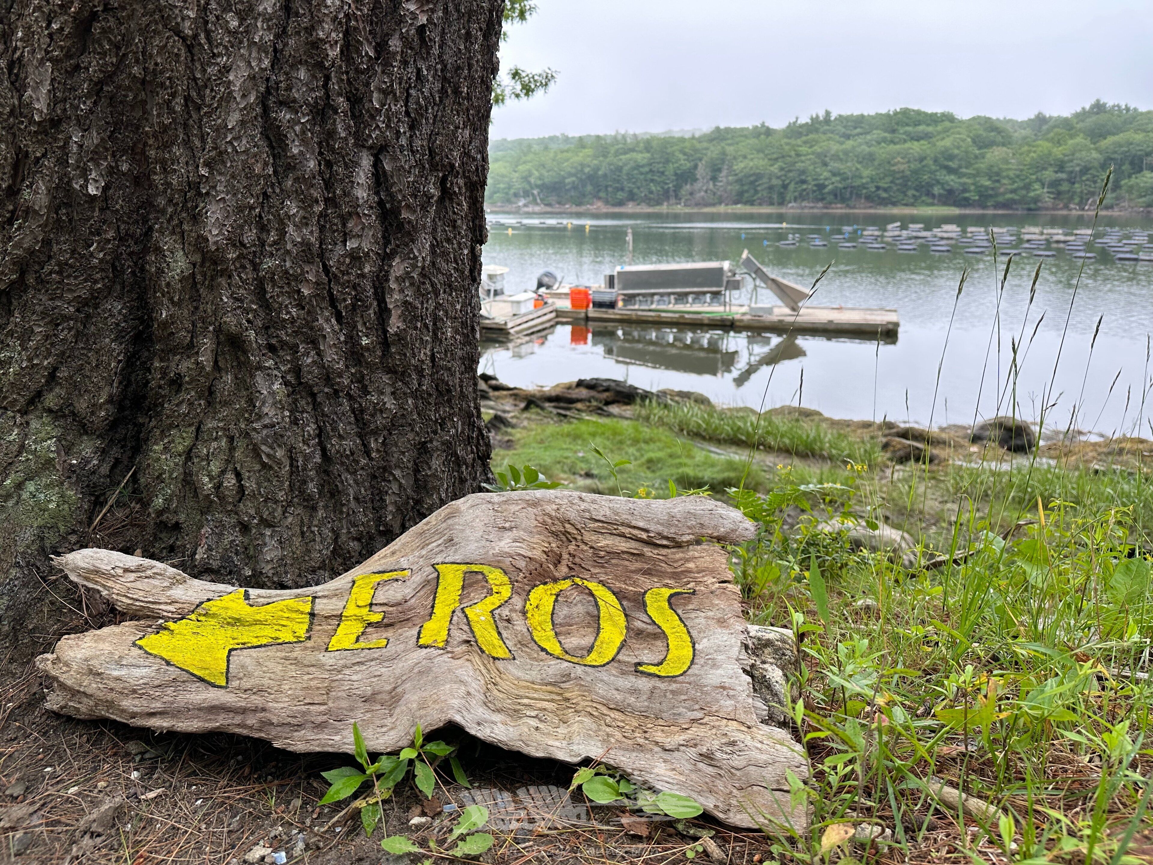 Paisagem natural com uma árvore, um tronco com a inscrição 'AEROS' e um corpo d'água com barcos.
