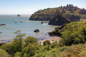 Un paisaje costero con una playa rocosa, un muelle y una colina con vegetación densa.