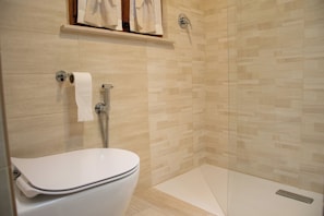 Regadera, secadora de cabello, bidet, toallas