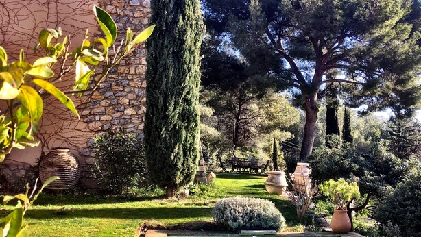 A garden with a swimming pool, stone wall, and various plants. - Exceptional, charming home in coastal Provence, 5 minutes from the beaches (Sanary Sur Mer)