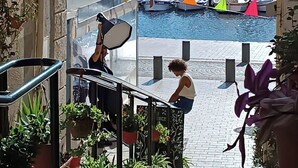 Blick auf eine Marina mit vertäuten Booten, einem Schild für 'DIZZERIA La Colivita' und Kübelpflanzen entlang des Weges.