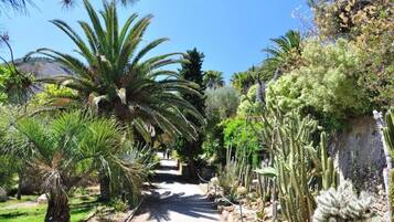 Jardines del alojamiento