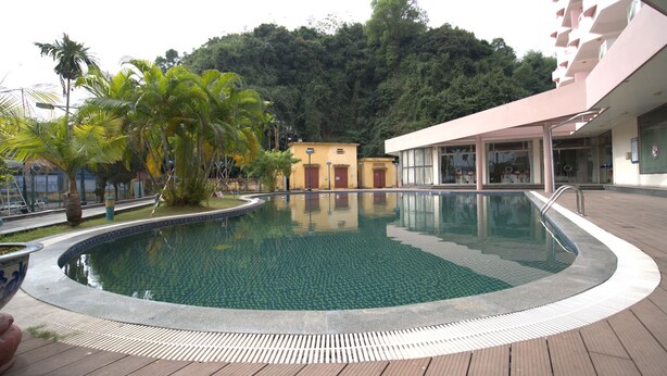 Una piscina con cubierta de madera, rodeada de palmeras y un edificio con amplias ventanas.