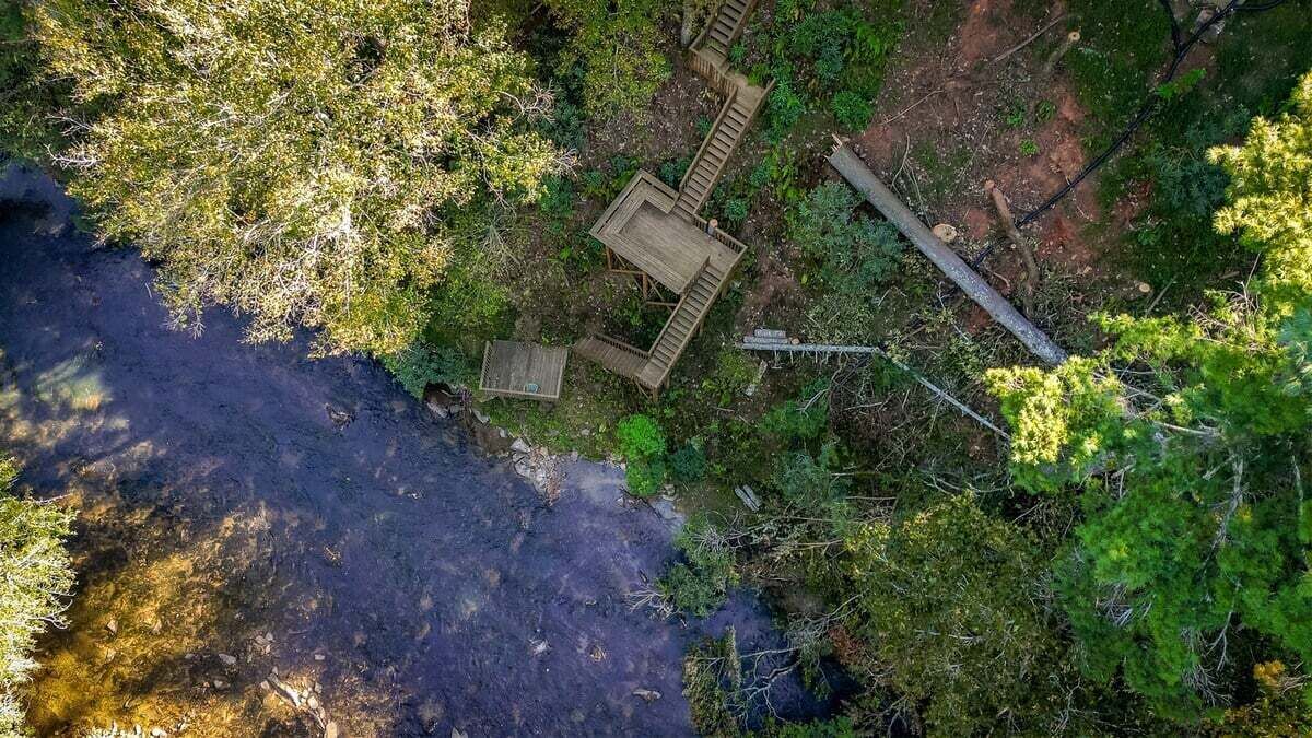A forested area with a wooden deck and a small shelter.