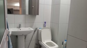 Sèche-cheveux, serviettes fournies, savon, papier toilette
