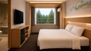 Superior Double or Twin Room | WiFi (free)