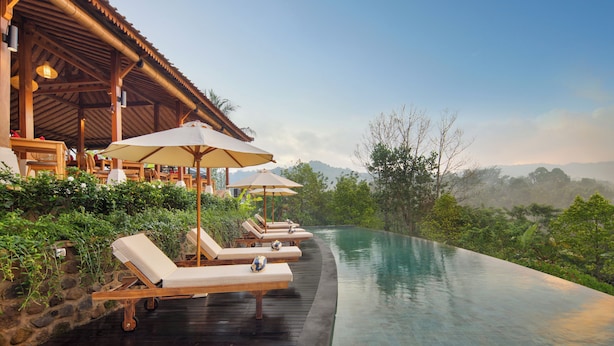 An infinity pool with lounge chairs and umbrellas, surrounded by lush greenery and a wooden building. - Devani Resort Sidemen (Sidemen)