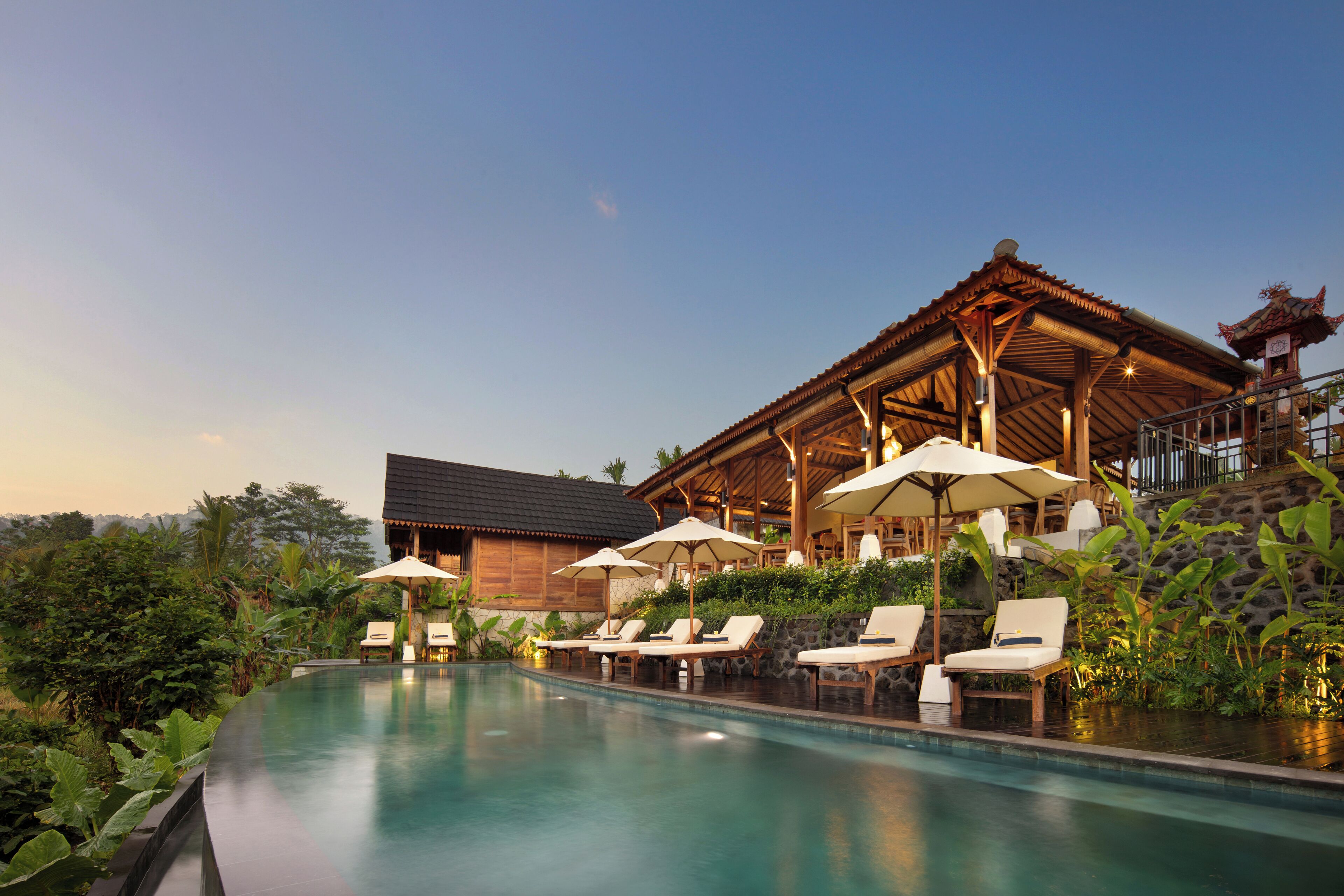 A pool area with lounge chairs and umbrellas, surrounded by lush greenery and a traditional building.