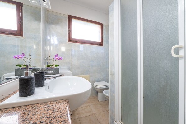 Shower, hair dryer, towels
