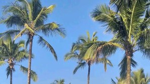 Apartment, 3 Bedrooms, Accessible, Smoking | Property grounds - Private 3 Bedroom Apartment With Mountain View and Hot Tub in Bertioga, Brazil (Bertioga)