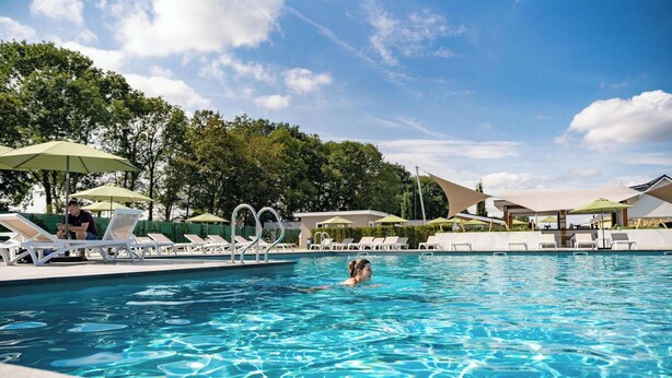 A swimming pool with lounge chairs and umbrellas, surrounded by trees and a clear sky. - Holiday Home Bemelen near Nature Reserve (Bemelen)