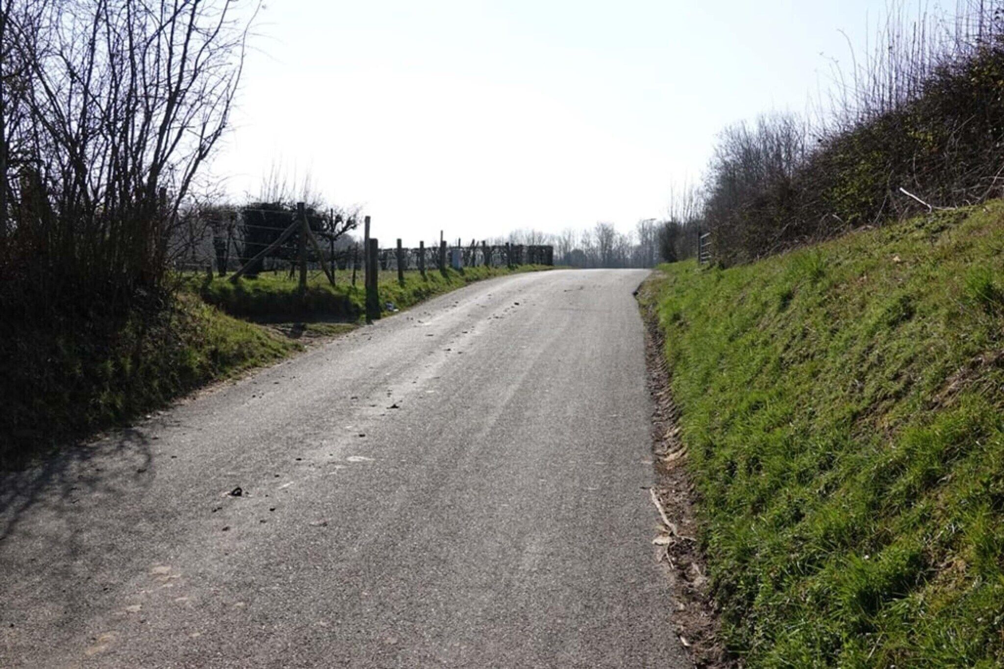 In de regio [zomer] (>5 km)