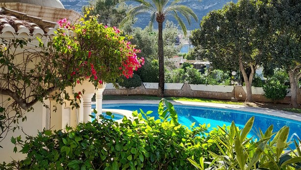 A pool area with lush greenery, a palm tree, and a mountainous backdrop.