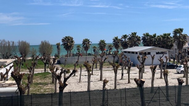 A sandy beach area with palm trees and a building in the background. - Angy Apartment (San Tommaso Tre Archi)