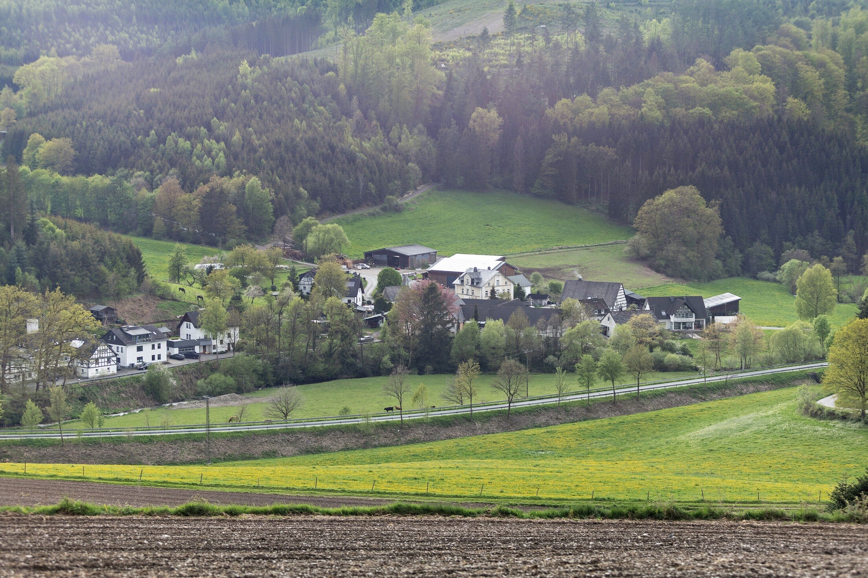 Un paisaje rural con un conjunto de casas rodeado de campos verdes y una colina boscosa.