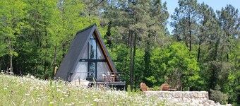 Nestled amidst the serene woodlands just outside Kutaisi.