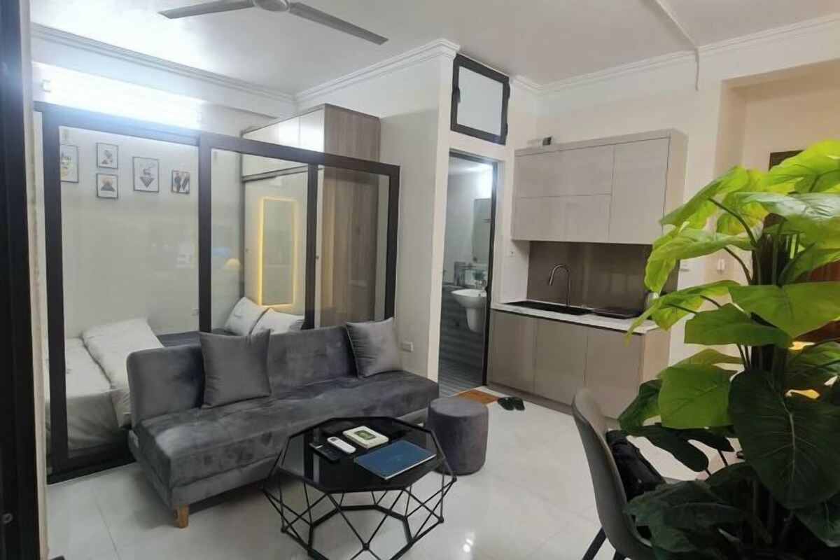 A modern living room with a grey sofa, a black coffee table, and a large green plant.