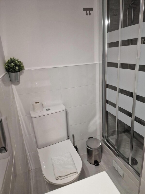 A modern bathroom with a toilet, a small trash bin, a potted plant, and a glass shower enclosure. - Hostal Esparteros (Madrid)