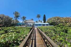 Guests walk along a scenic boardwalk to the resort, surrounded by lush greenery and palm trees.