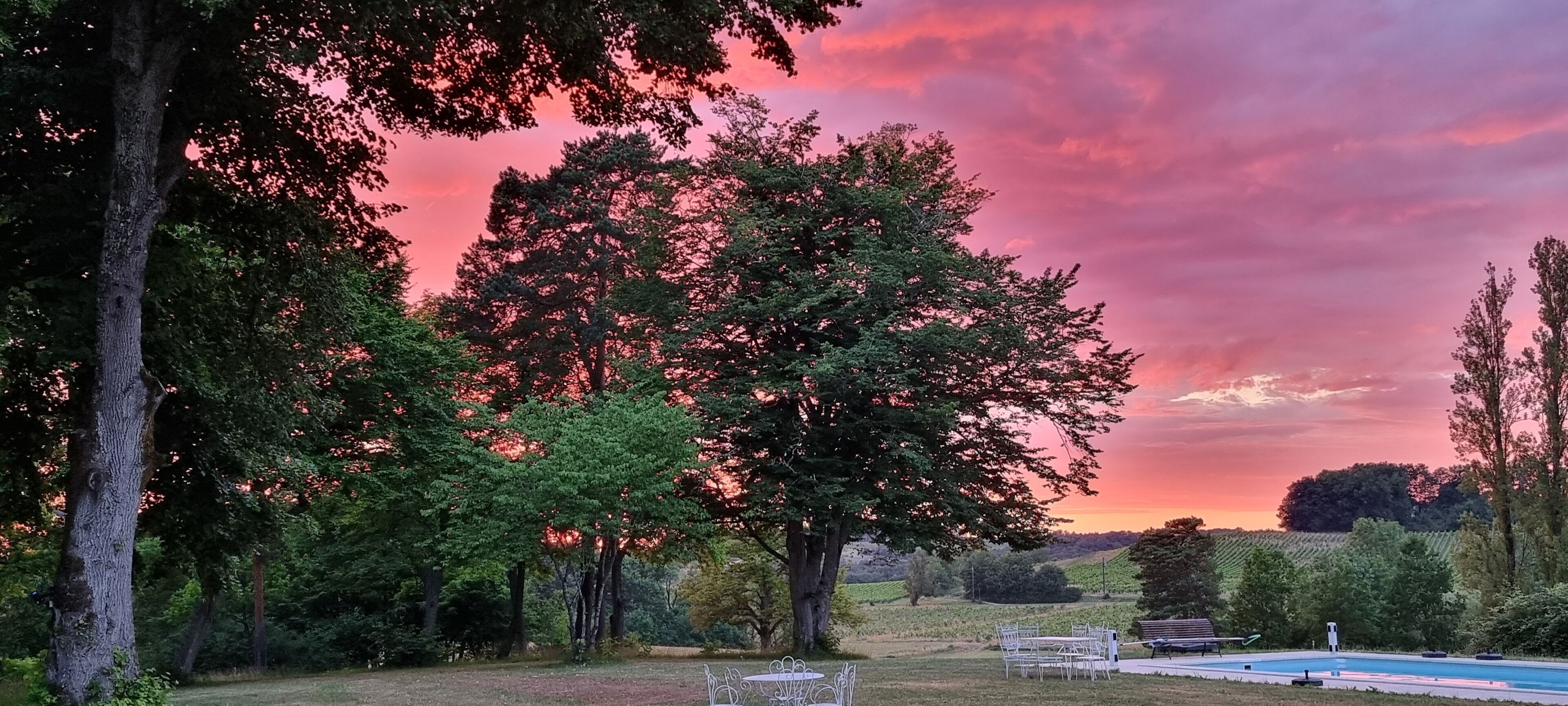 Un ambiente esterno tranquillo con una piscina, circondato da alberi rigogliosi e un cielo limpido.
