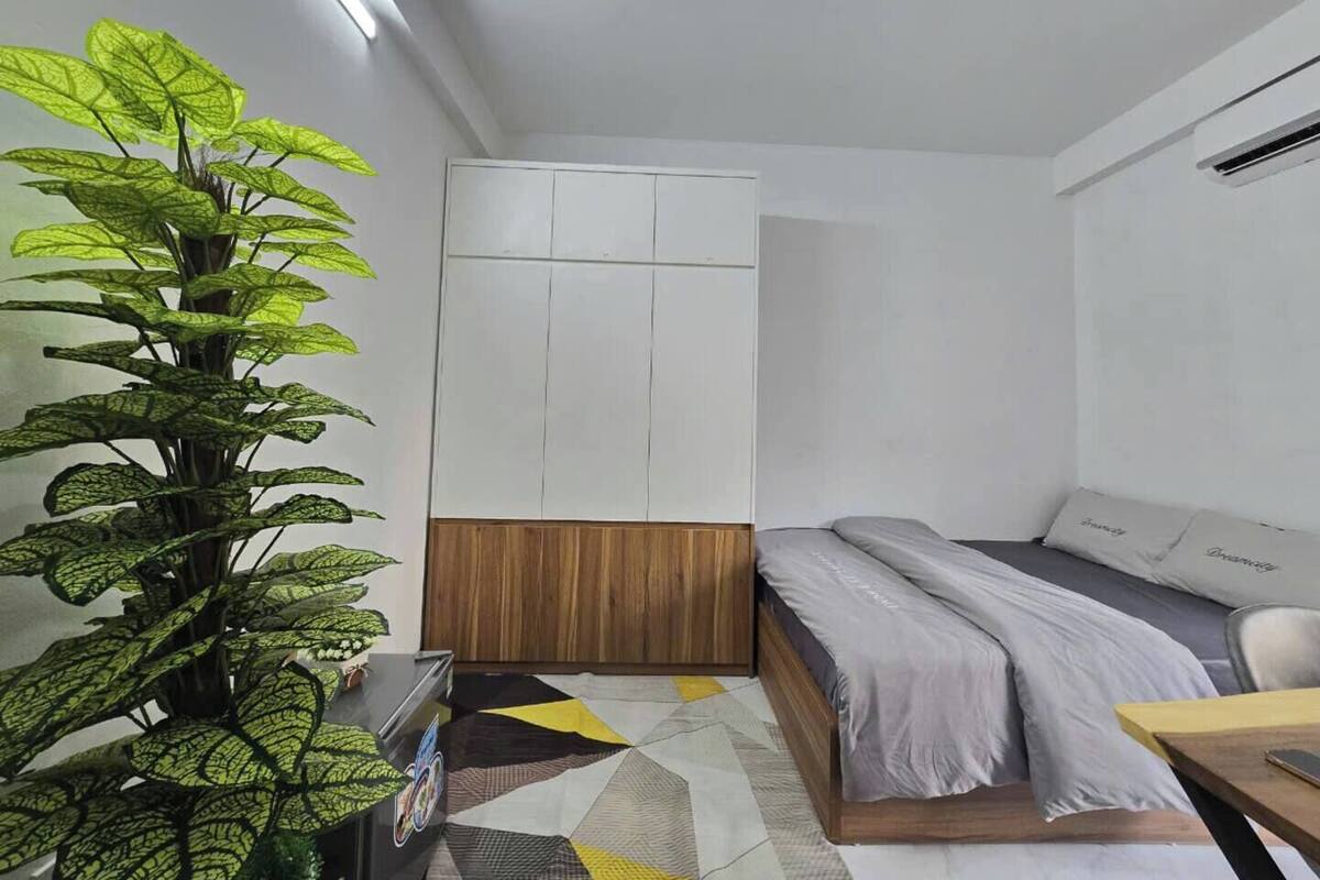 A compact bedroom with a bed, a wooden wardrobe, a potted plant, and a geometric-patterned rug.
