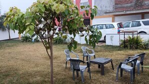 Un espace extérieur recouvert d’herbe, avec un petit arbre, plusieurs chaises en plastique et une table.