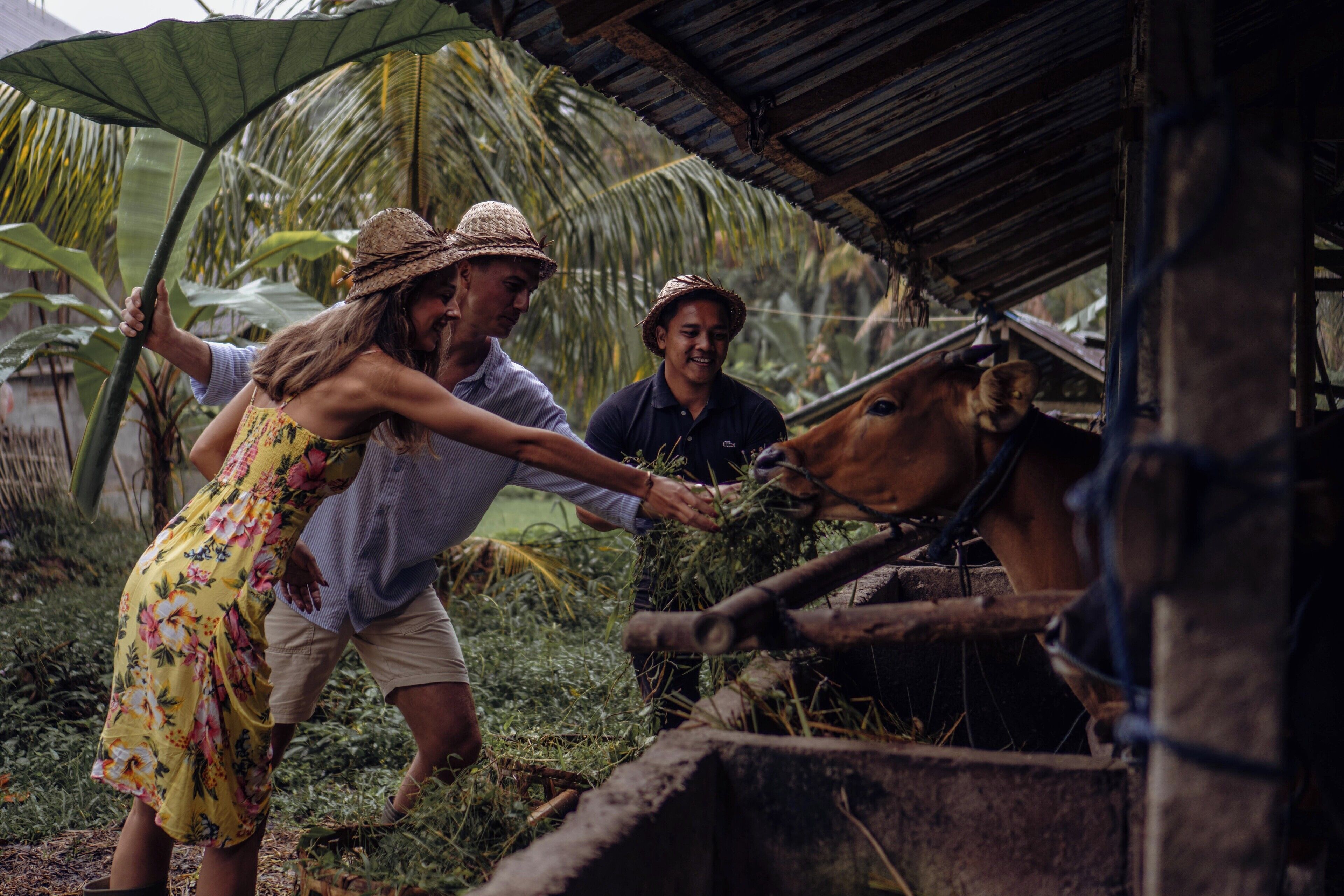 Foto - Maar Resort & Spa Ubud by Ini Vie Hospitality